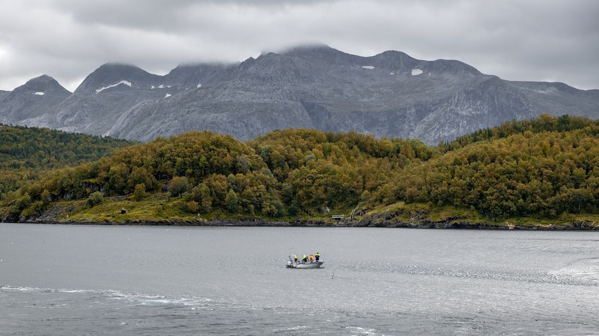 Bat i fjord med fjell ved Bodo i Nord-Norge