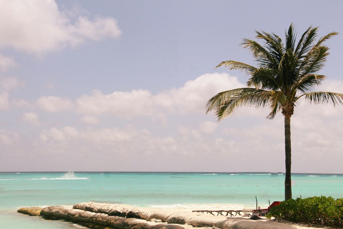 Karibisk strand med palme i Cancun