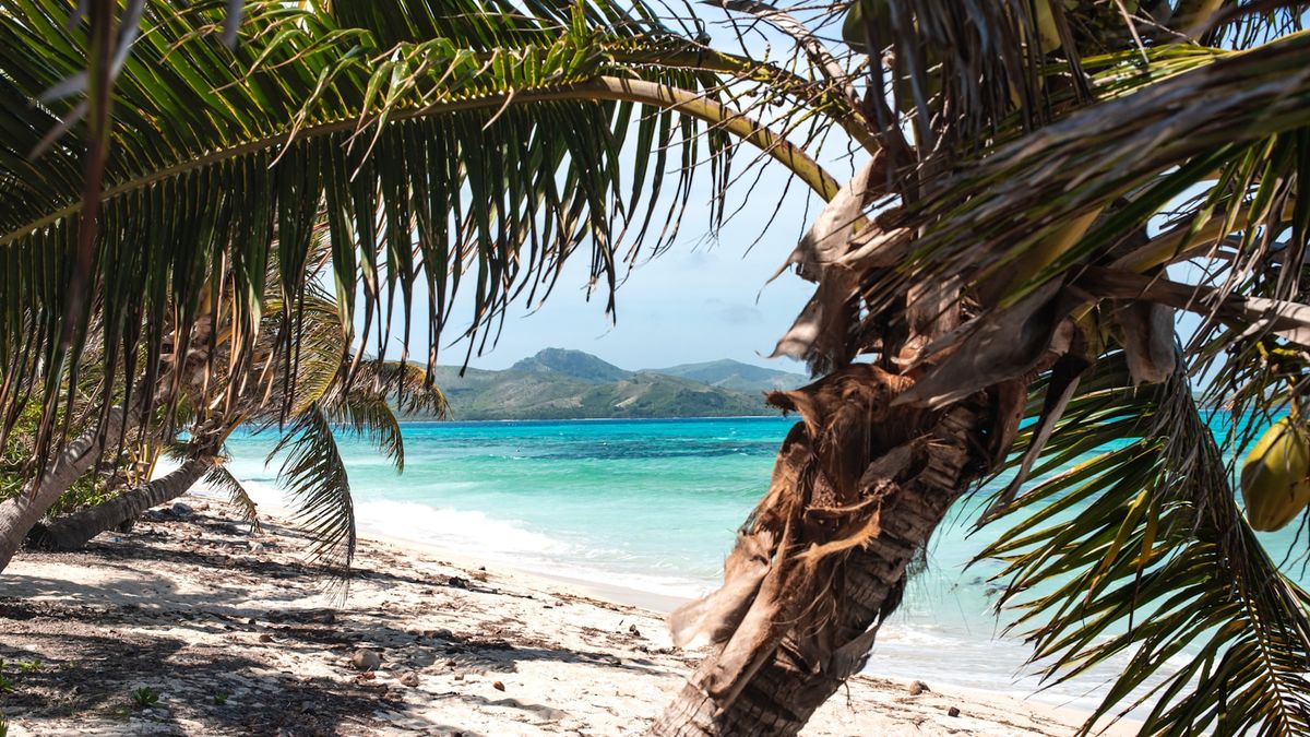 Palmeøy med turkis lagune på Fiji