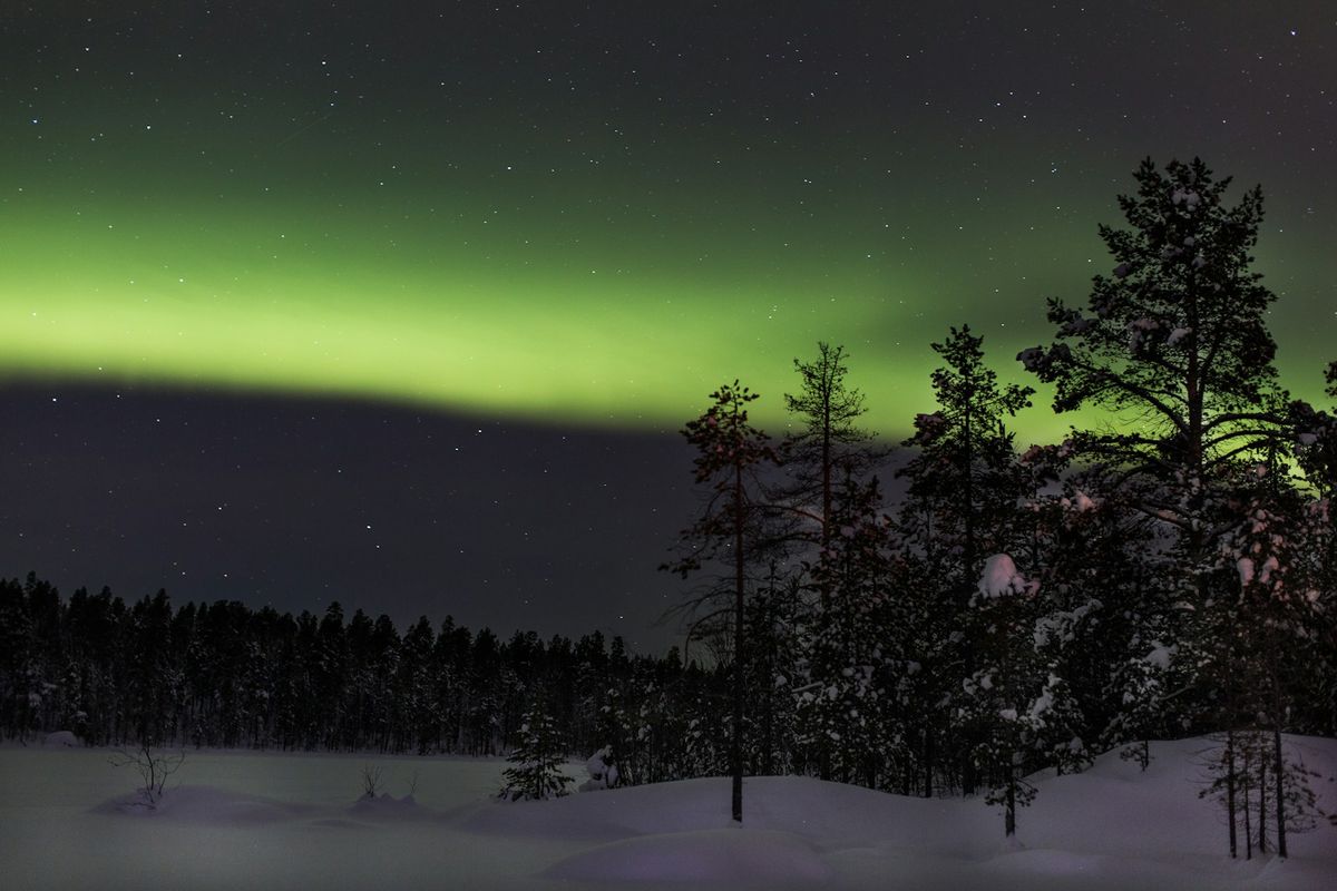Nordlys over snødekt landskap nær Kiruna