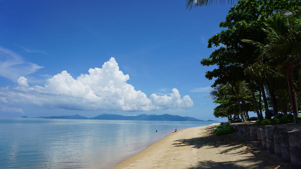 Strand med palmer på Koh Samui