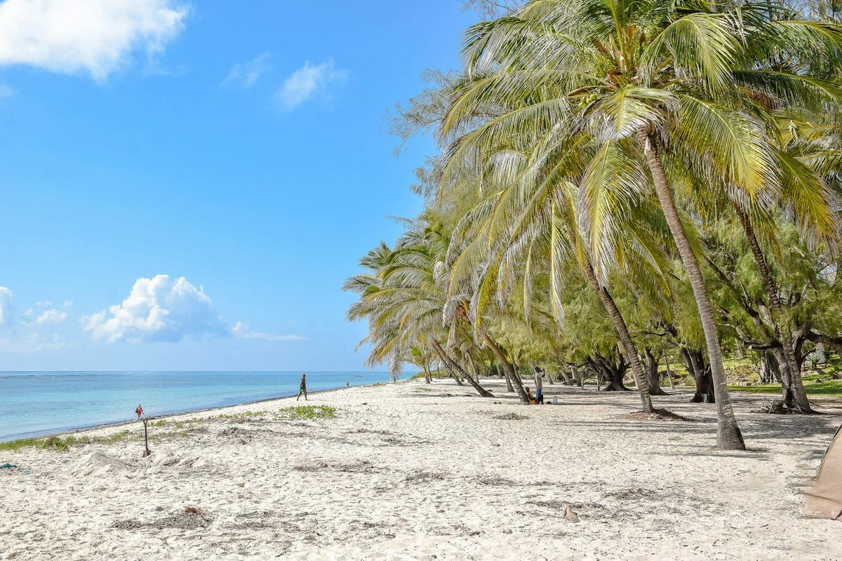 Palmekantet strand ved Mombasa i Kenya