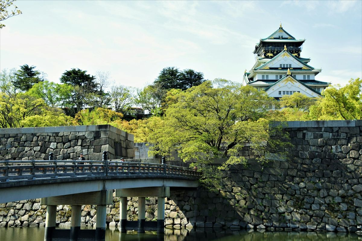 Osaka slott omgitt av grønne trær