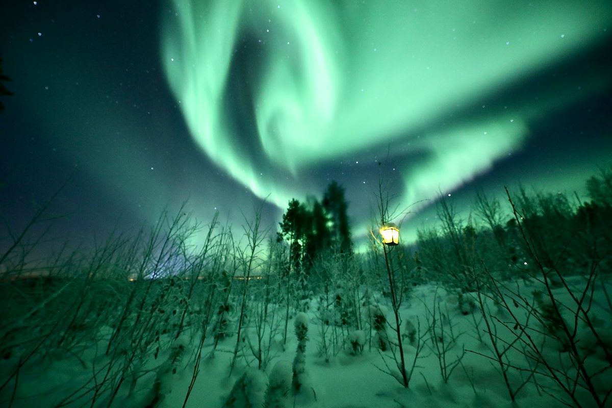 Nordlys over snolandskap i Rovaniemi