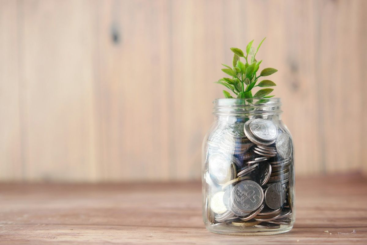 Sparekrukke med mynter og plante
