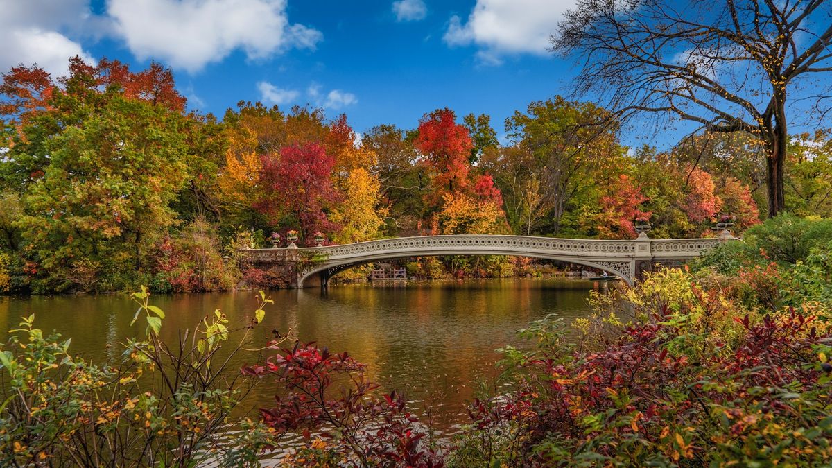 Bro over vann i Central Park i New York