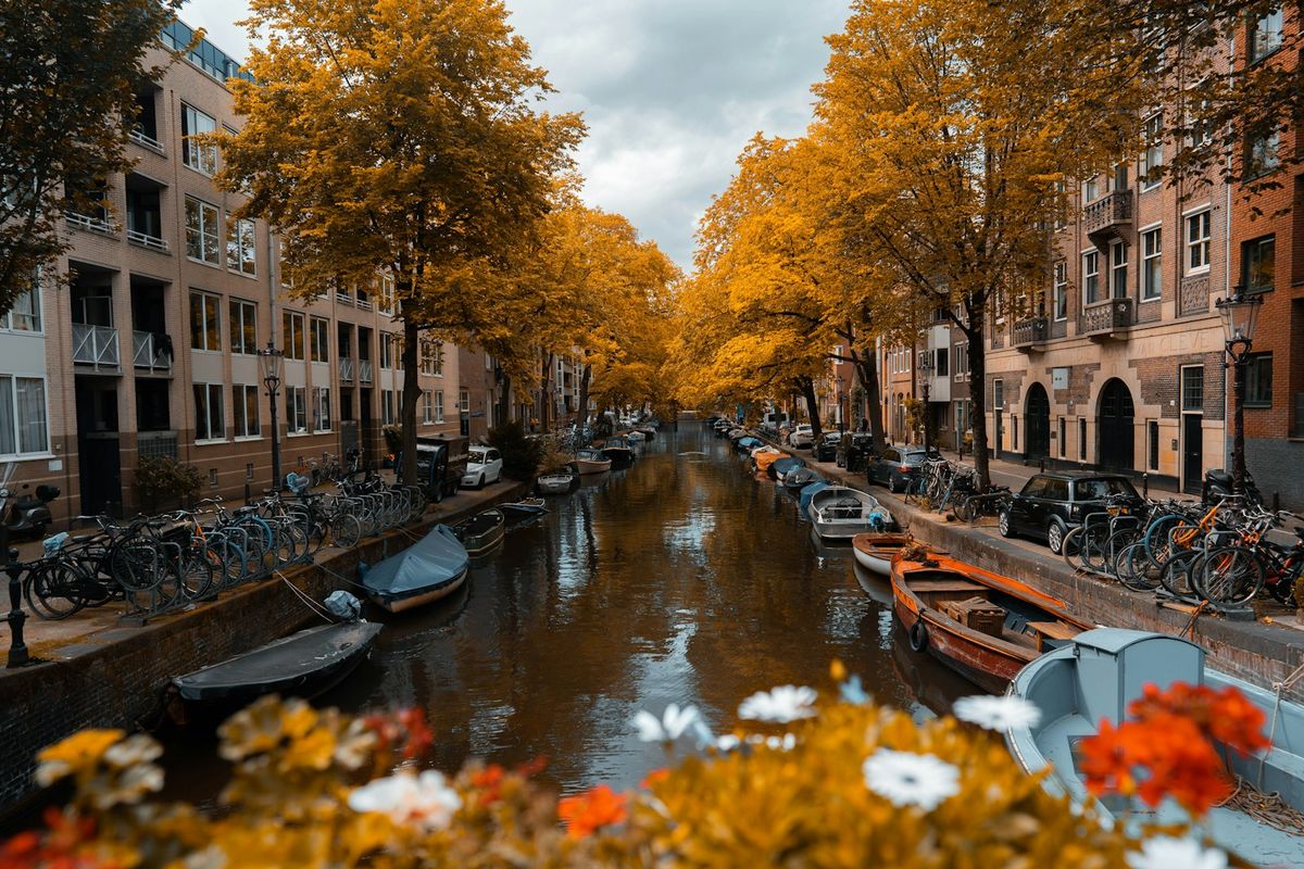 Gyllent høstløv langs en kanal i Amsterdam