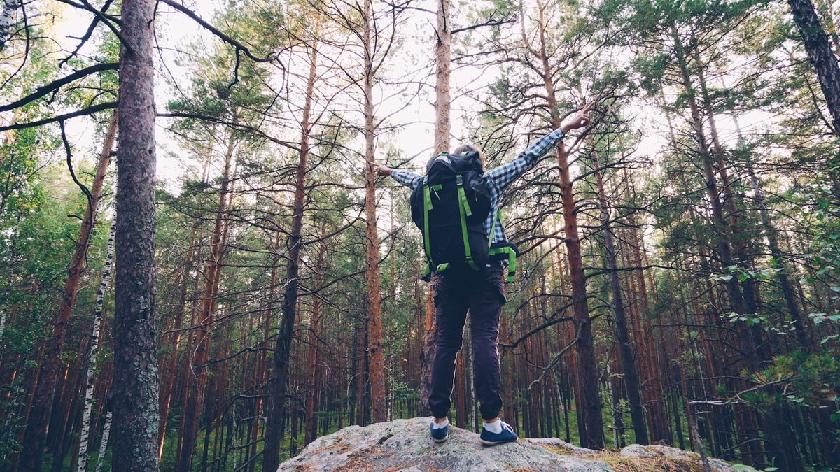 Backpacker feirer pa fjelltopp