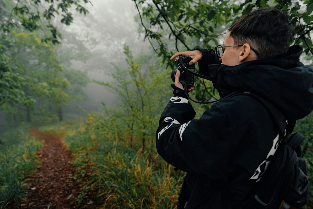 Person fotograferer en tåkete skogssti