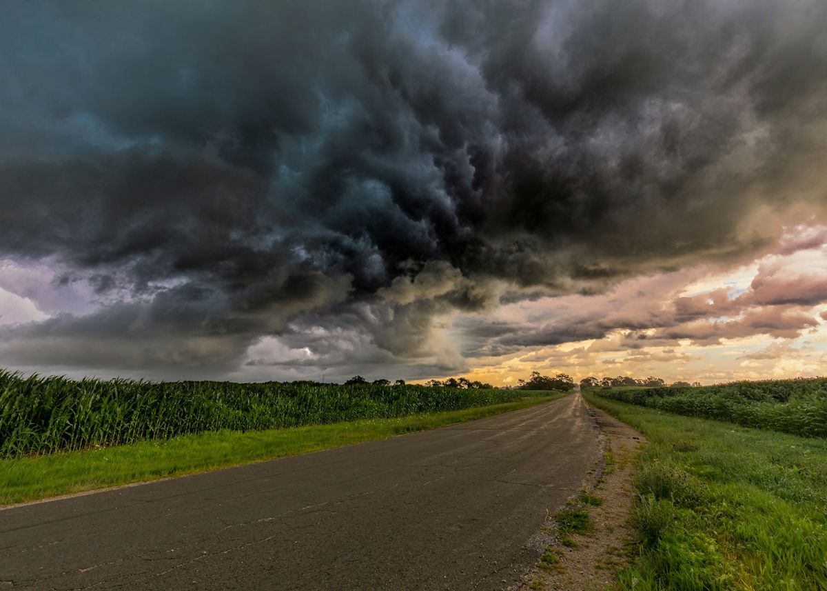 Groent gressfelt under graa stormskyer